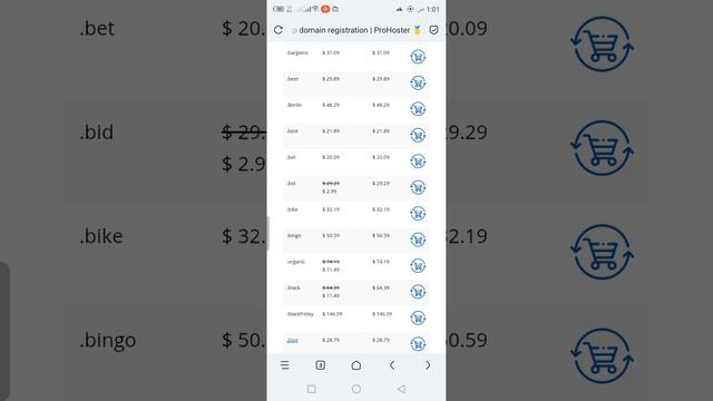 Buy a domain name