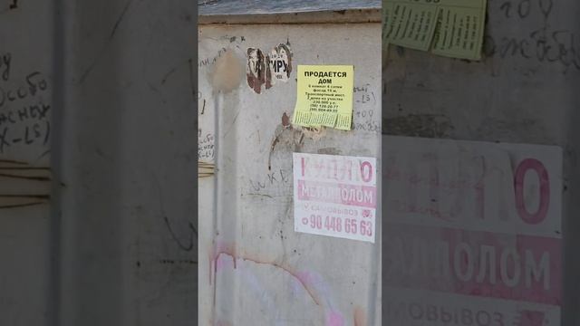 Узбекистанцы меня удивили