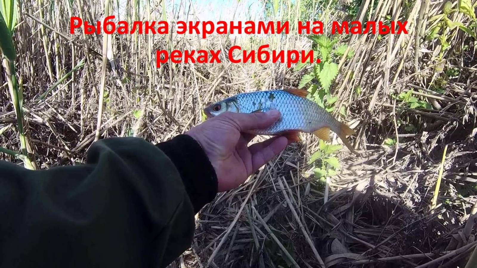 Ловля экранами на малых реках Сибири.