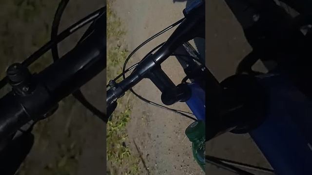 Прогулка до Борги