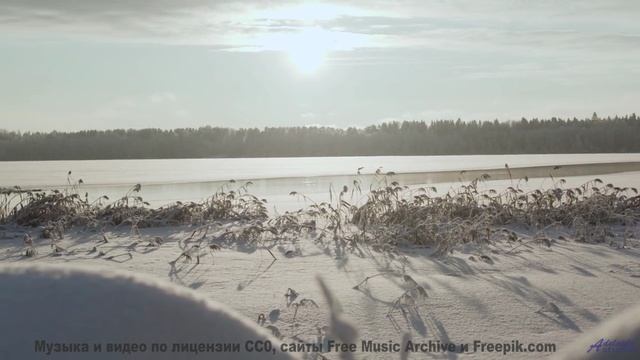 Это видео - как глоток счастья, который нужен каждому! - Little Idea -- Scott Holmes Music -- Media