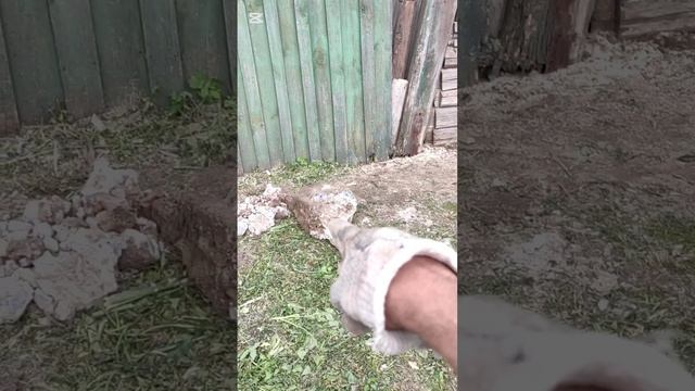 Установили новый забор.