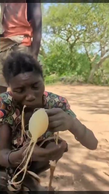 Вкусный плод любимый у африканского племени