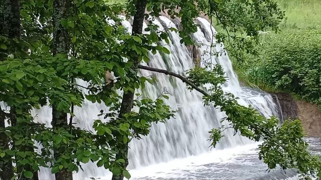 1000011362.mp4