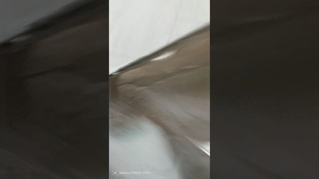 Самокат Black Aqua STUNT SCOOTER-1