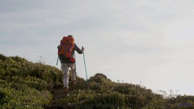 Это видео - лекарство от всех грустных дней! - Primavera en la Guerra del Sonido -- Silva de Alegria