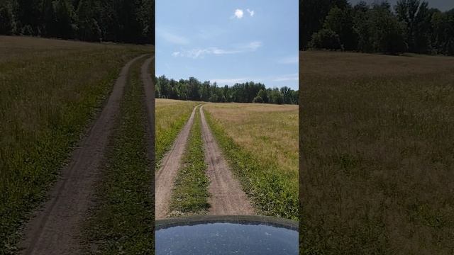 Погоняли по полям и по лесам🚙🌲