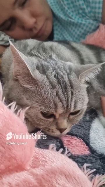 Жизнь дала мне 2 урока 😅