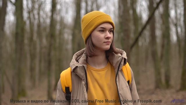 Мелодия двигает облака прямо на ваших глазах - Dragonslayer -- Podington Bear -- Said Lion To Lamb (