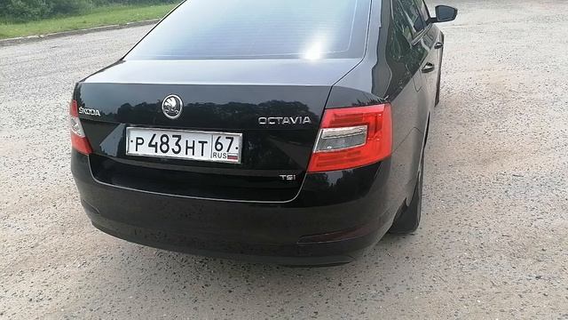 VID_20250617_121828.mp4