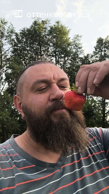 клубника в деревне у мамы