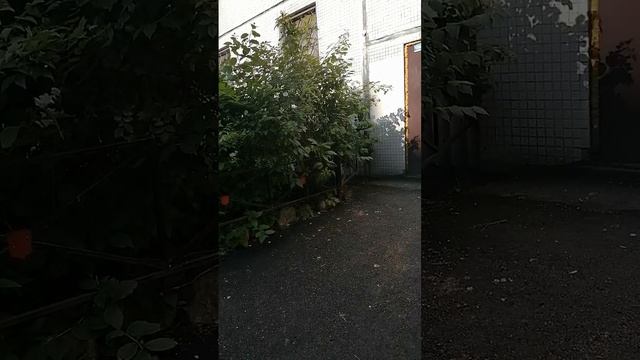 Под Маа Чамунда", мантру, чтобы положить конец любому кризису