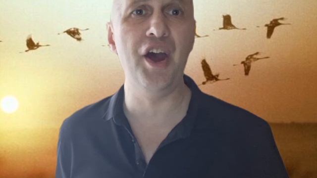 1000039231.mp4
