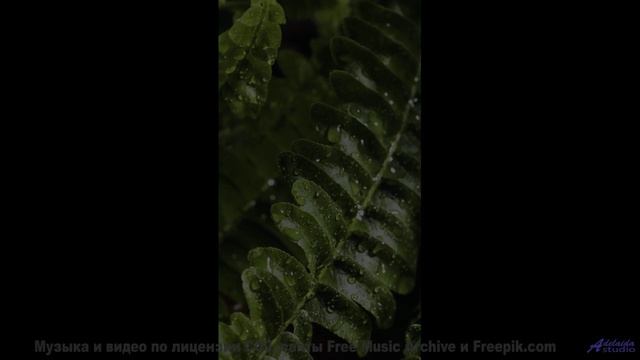 Сердце начинает биться чаще под этот саунд - Letting Go Of The Past -- HoliznaCC0 -- Lo-fi And Chill