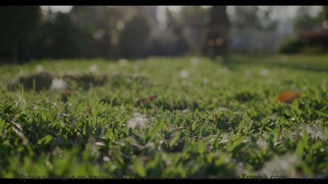 Музыка рождает восторг при каждом аккорде - Afterthought -- Evan Schaeffer -- Afterthought