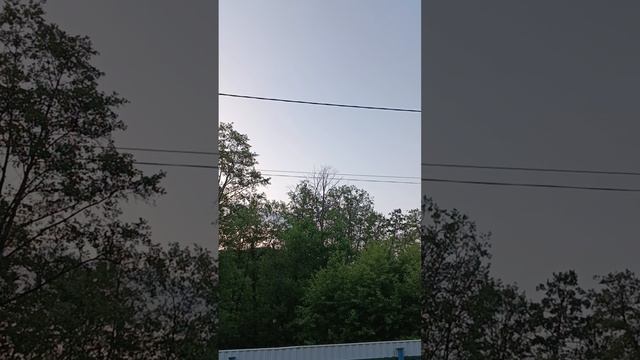 Птичьи трели