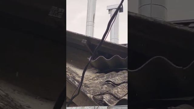 Кто кого переглядит: снайперы глазами  . 
Боевые коты.