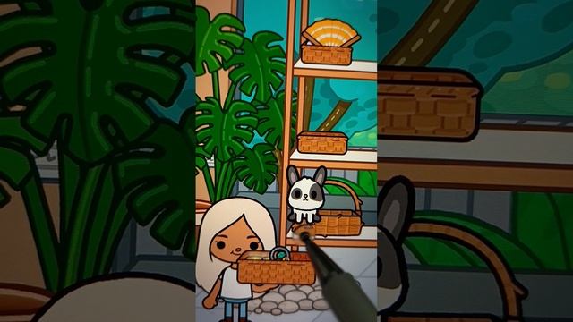 1000013043.mp4