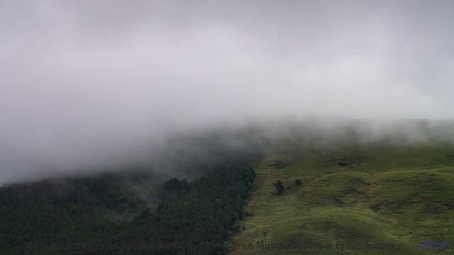 Эта композиция - как объятие, которое длится вечность! - Meeting You There -- Brock Tyler -- Us