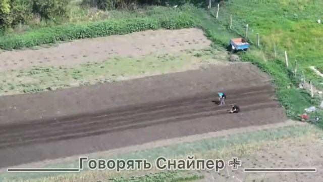 В Алексеевке Донецкой области, где уже вовсю идут бои, местные жители устав бояться, тупо сажают кар