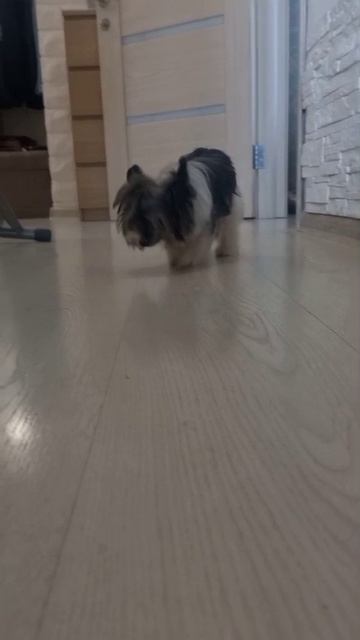 завал видио😘