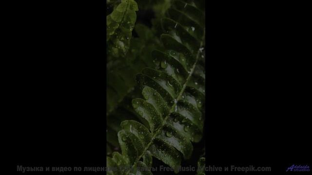 Слушайте её вместе - и почувствуйте, как вы становитесь ближе! - Floating Up From The Cubicle -- Pod