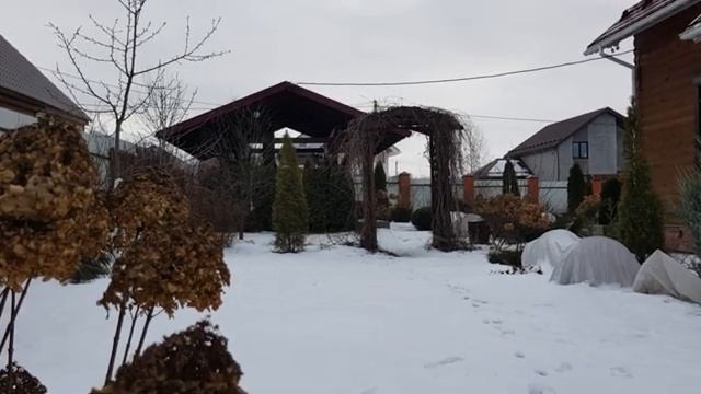 Мой зимний сад и огород часть (13)