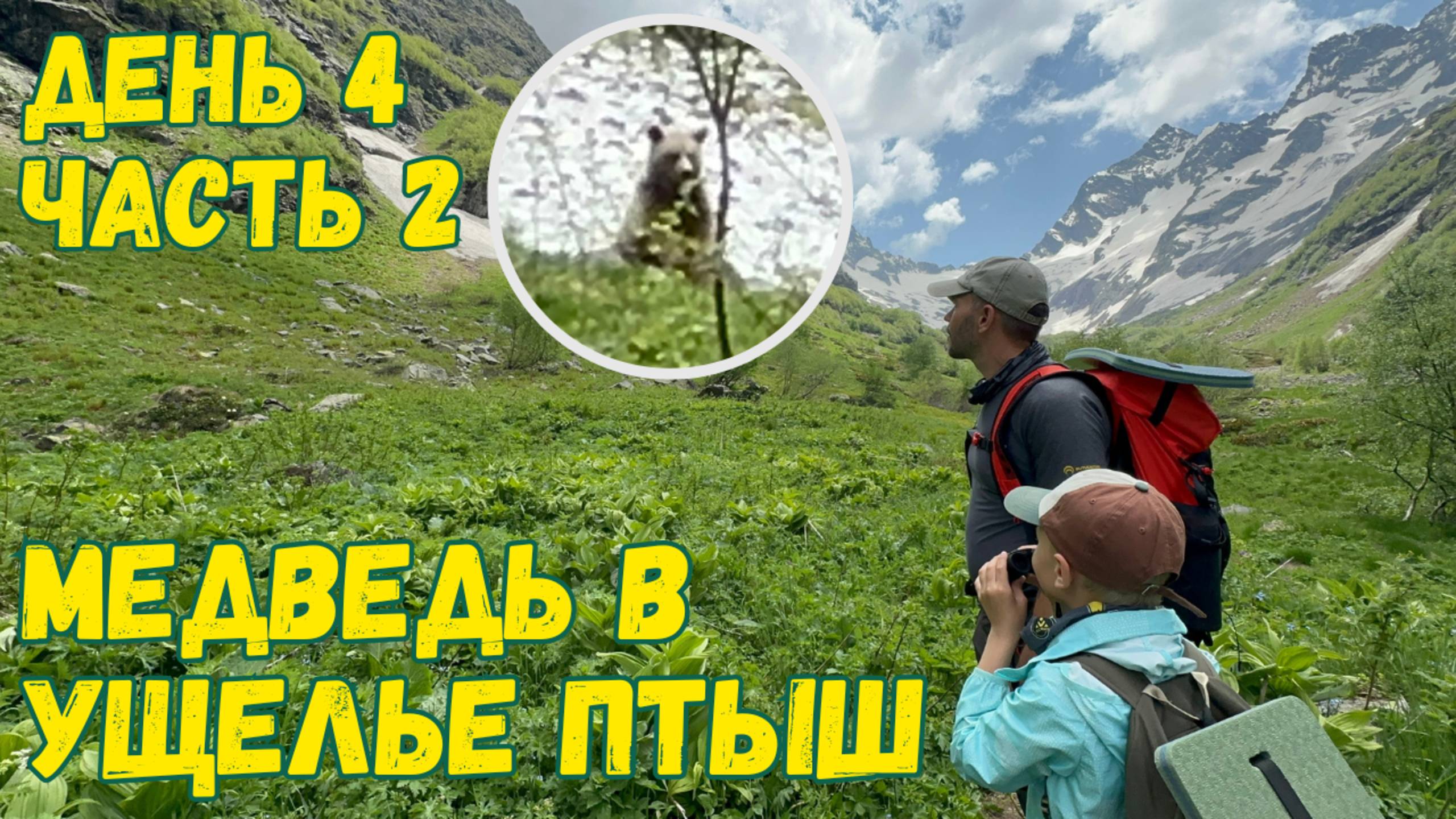 Ущелье Птыш. Встреча с медведем. Хайкинг. Домбай.