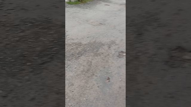 Погоня за временем