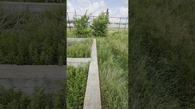 1000065184.mp4