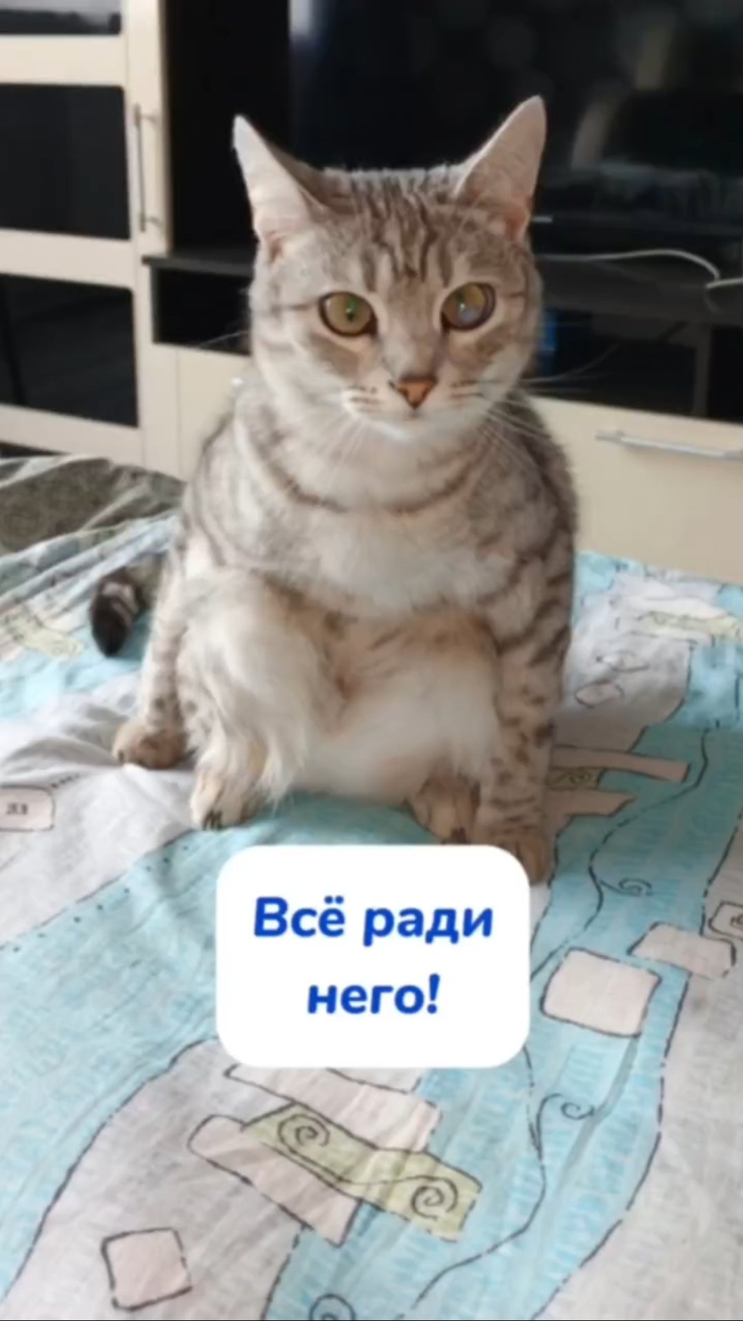 Какой наполнитель используете?