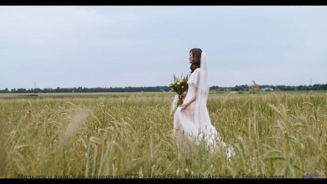 Музыка-подарок для ценителей природы и отдыха - Dream Without Pain -- Nicole Atkins -- Live at WFMU