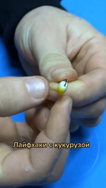 А вы знали об этих способах?
#рыбацкийлайфхак