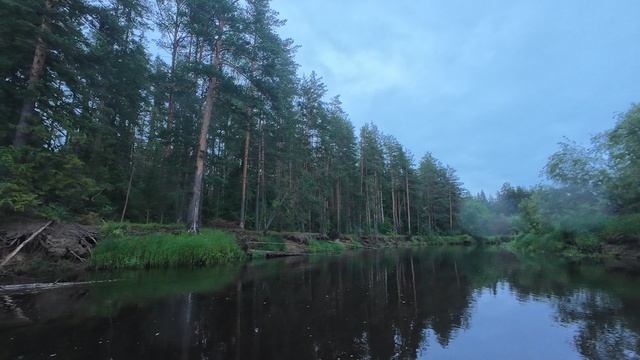 Сплав