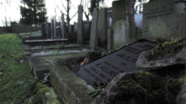 6619430-hd_1920_1080_30fps