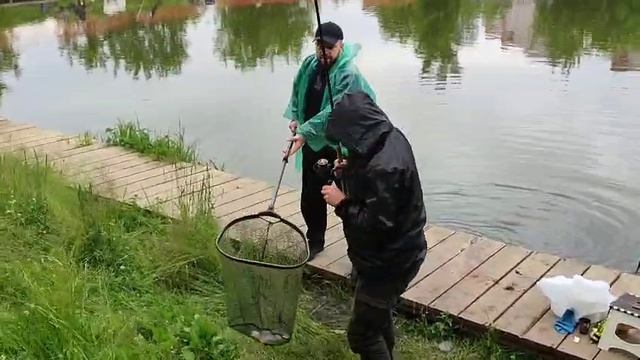 Чистая кука