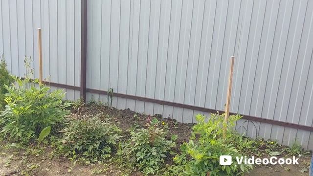 Наши 8,4 сотки🏡Куб для воды поставили на своё постоянное место.Прополола картошку 🥔 .