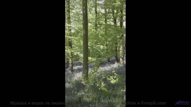 Эта музыка заставит вас пересмотреть свою жизнь! - Yallery Brown -- Nutmeg -- Lore!
