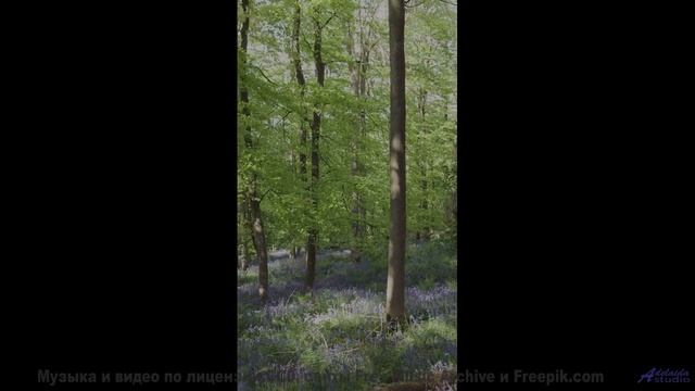 Поля и саунд пробуждают забытые мечты - Not Listening -- Ketsa -- Equinox Rising