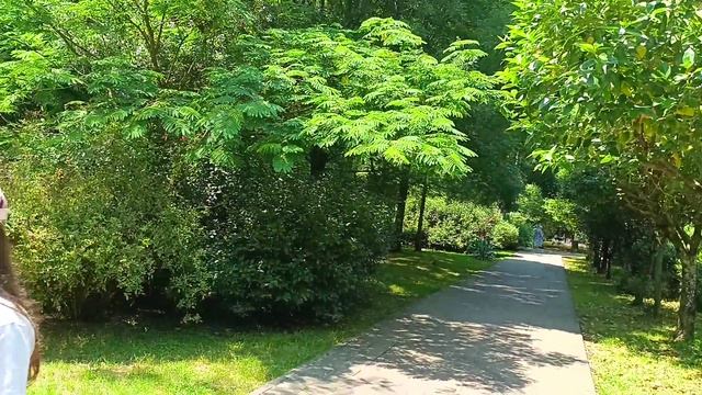Поездка в Курортный городок