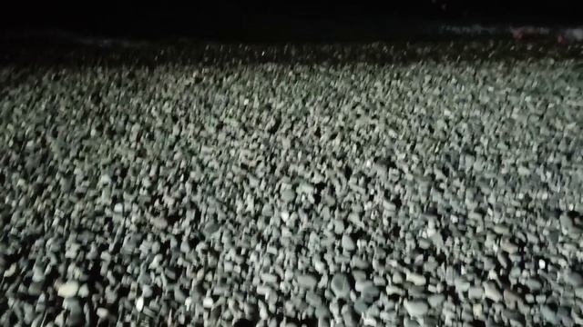 Прогулка в последний вечер