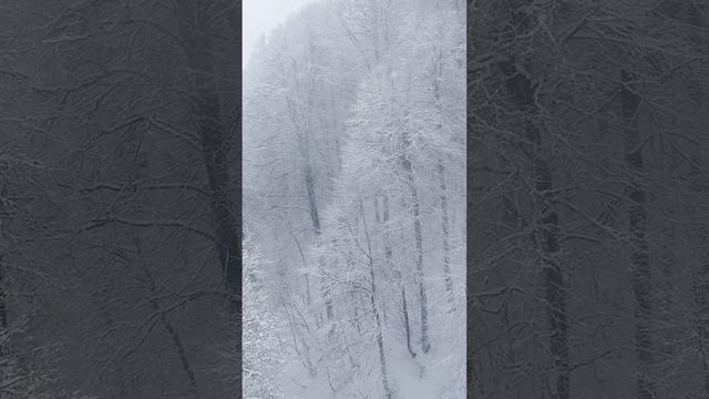 отдых роза хутор