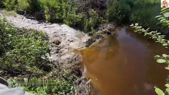 Строительство, расчитстка дренажных каналов
