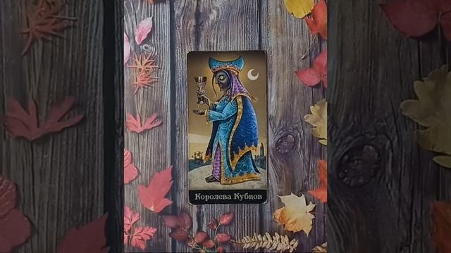 Для начинающих.Таро безумной луны.Карты двора.Королева Кубков