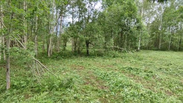 Новгодчкий район, д Жабицы, участок 228
