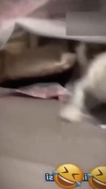 Больно же!
