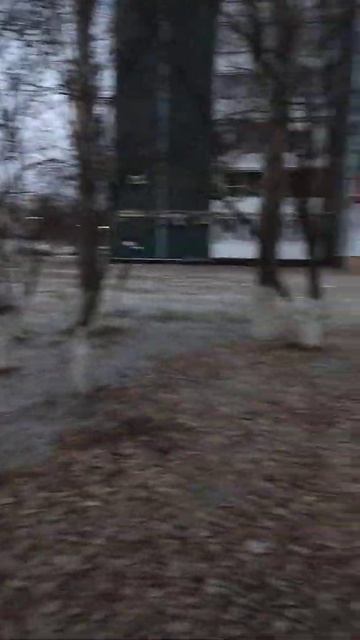 Раннее утро 6 декабря...