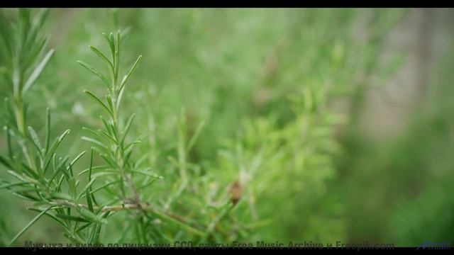 Звуки, способные перезагрузить ваш мозг - проверьте на себе! - Pride -- Ketsa -- The New World