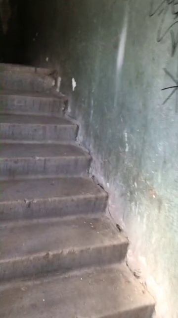 1000037315.mp4