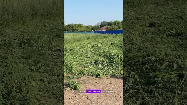 3 день покос травы. Такое убивает доверие к наемным сотрудникам. #покостравы #бизнес